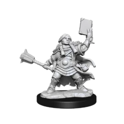 D&D Frameworks Dwarf Cleric Female 7 D&D Frameworks Dwarf Cleric Female -GAMES WORKSHOP Shop 75010a.png.mst