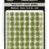 Vallejo SC407 4mm Wild Tuft - Light Green Diorama Accessory 2 Vallejo SC407 4mm Wild Tuft - Light Green Diorama Accessory -GAMES WORKSHOP Shop AVSC407 540x bd83402d 7fe5 4294 8f46 52fe09a848a5