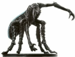 Various DDBW Chasme45/60 R