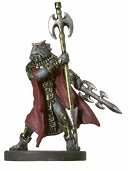 Various DDUD Death Slaad 43/60 R