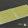 Gamers Grass: Tufts: Beige 2mm (Small) 1 Gamers Grass: Tufts: Beige 2mm (Small) -GAMES WORKSHOP Shop GG2 BEs