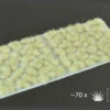 Gamers Grass: Tufts: Winter 5mm (Wild) -GAMES WORKSHOP Shop GG5 W