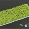 Gamers Grass: Green Shrub (Wild) 1 Gamers Grass: Green Shrub (Wild) -GAMES WORKSHOP Shop GGS GR