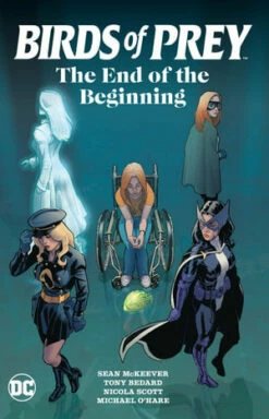 Birds Of Prey The End Of The Beginning
