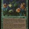 Magic The Gathering Argothian Pixies [Antiquities] -GAMES WORKSHOP Shop cbb716bf 435b 577c 80b5 5837c7a5ab48