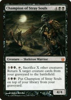 Magic The Gathering Champion Of Stray Souls [Born Of The Gods]