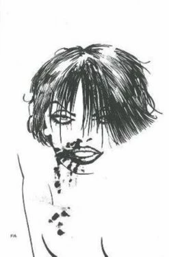 Dark Horse Comics - Sin City A Dame To Kill For - Vol 2