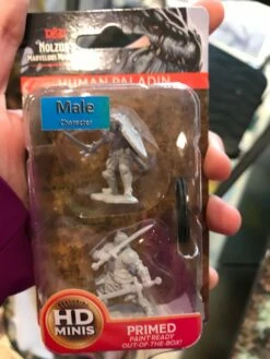 Various Miniature - Male Human Paladin