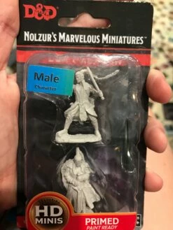 Various Miniature - Male Elf Paladin