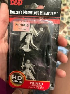 Various Miniature - Female Elf Paladin