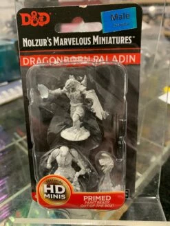 Various Miniature - Male Dragonborn Paladin